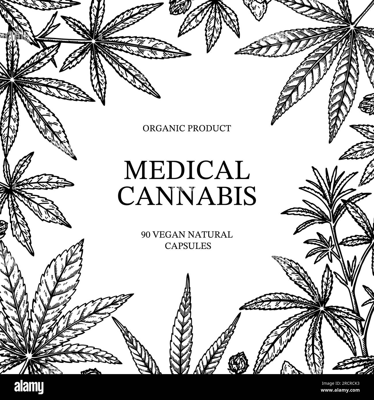 Conception carrée de cannabis pour l'emballage, les publications sur les médias sociaux, la décoration de magasin, l'image de marque, les certificats. Illustration vectorielle de marijuana dans le style de croquis. Ourlet Illustration de Vecteur