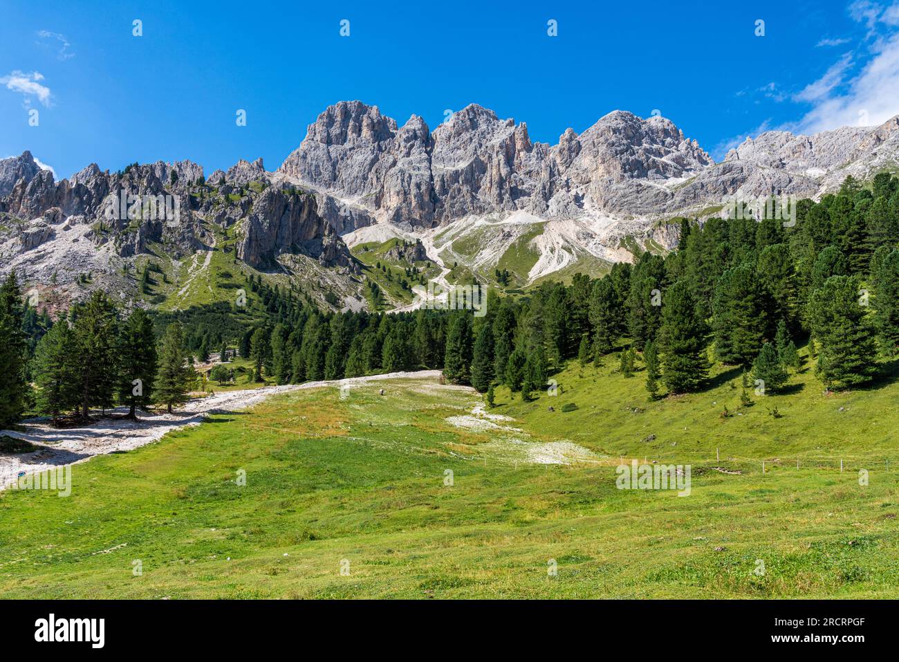 Magnifique paysage alpin près des tours Vajolet dans le Trentin-Haut-Adige, au nord de l'Italie. Banque D'Images