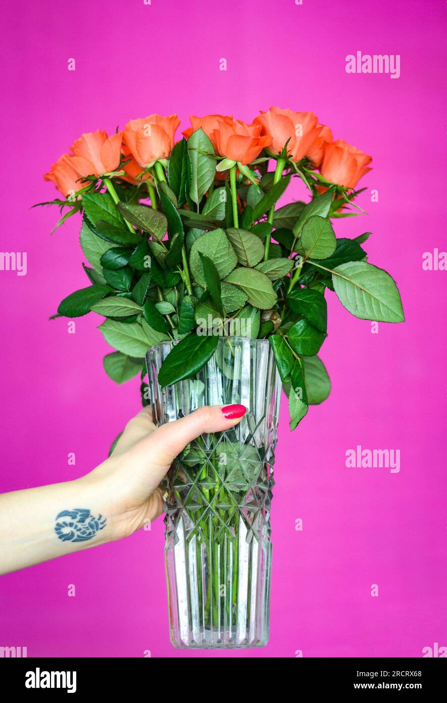Bras avec un tatouage scorpion sur un poignet, tenant un vase avec des roses Banque D'Images