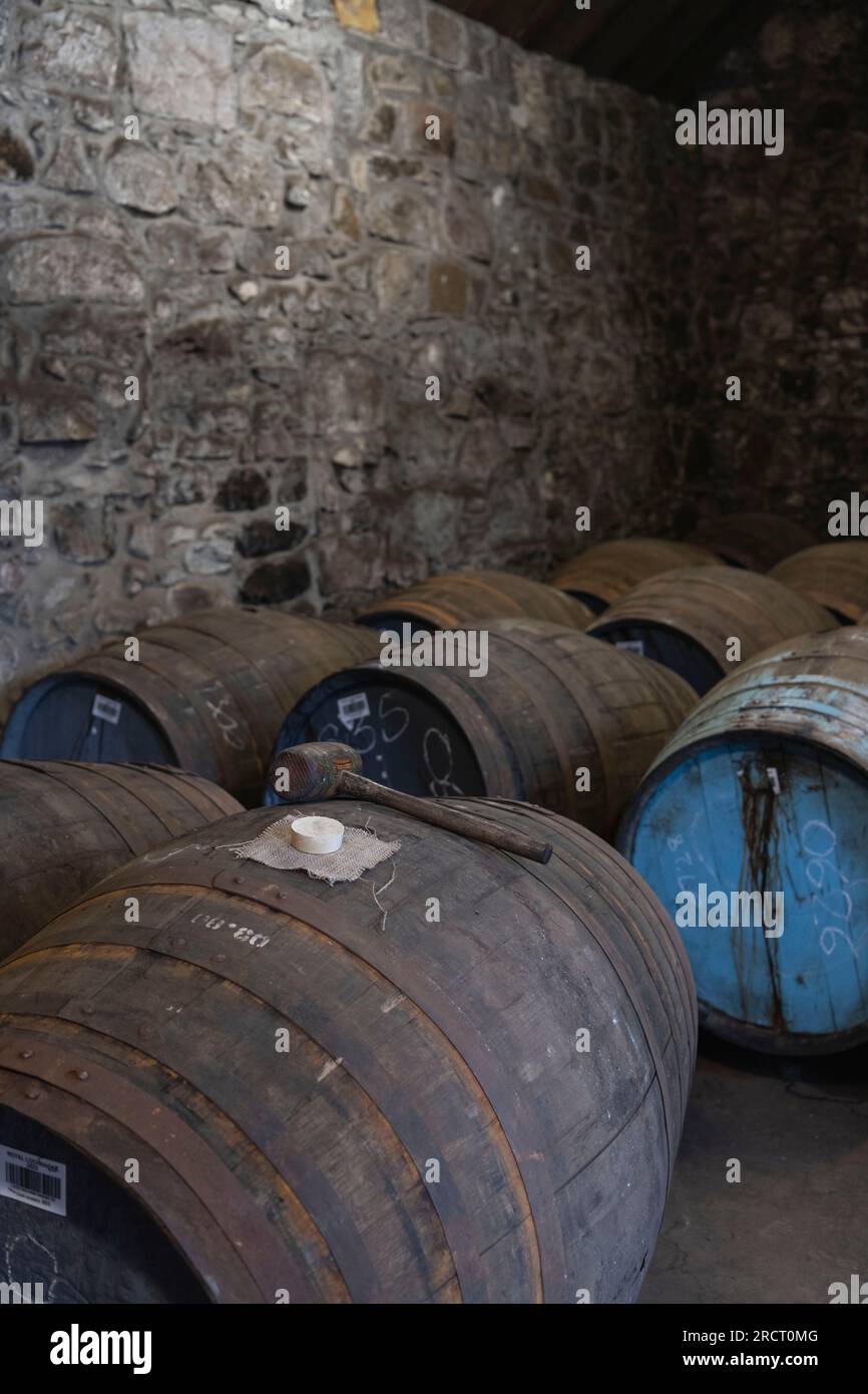 Un maillet en bois se trouve à côté d'un bung de peuplier et d'un morceau de hessien sur le dessus d'un baril de whisky en bois dans un entrepôt de la distillerie Royal Lochnagar Banque D'Images