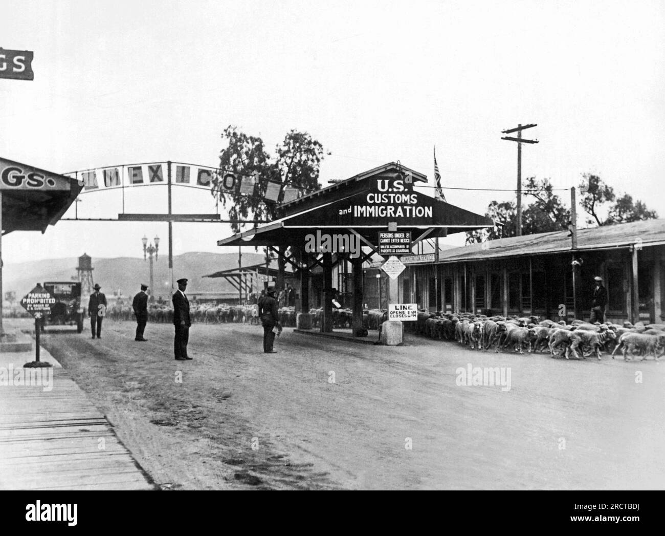 San Ysidro, Californie : c. 1925 Un troupeau de moutons importé du Mexique dans le comté de San Diego au poste frontalier de Tijuana. Banque D'Images