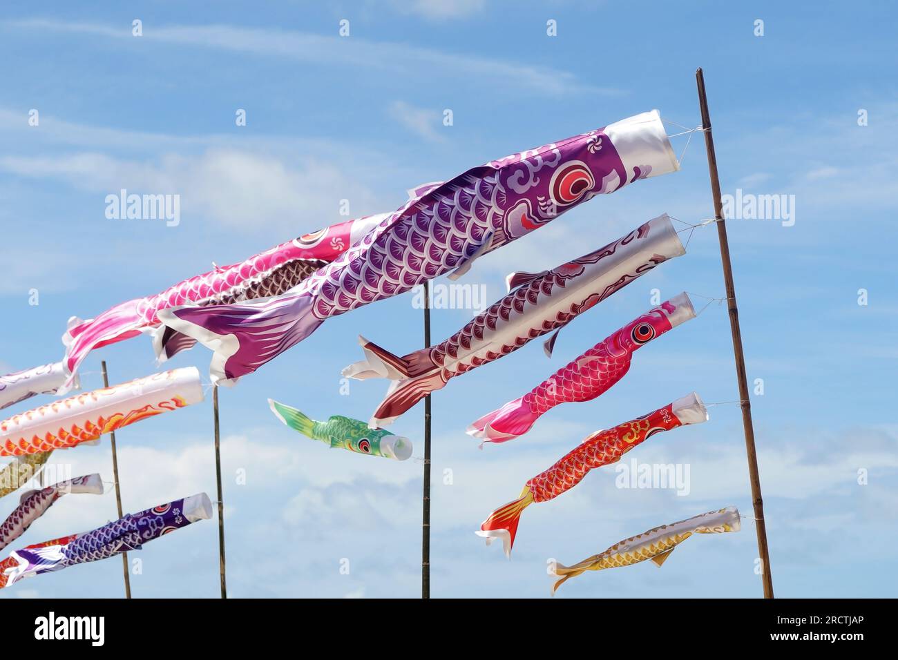 streamer de carpe, drapeau de carpe de koi japonais avec beau fond de ciel Banque D'Images