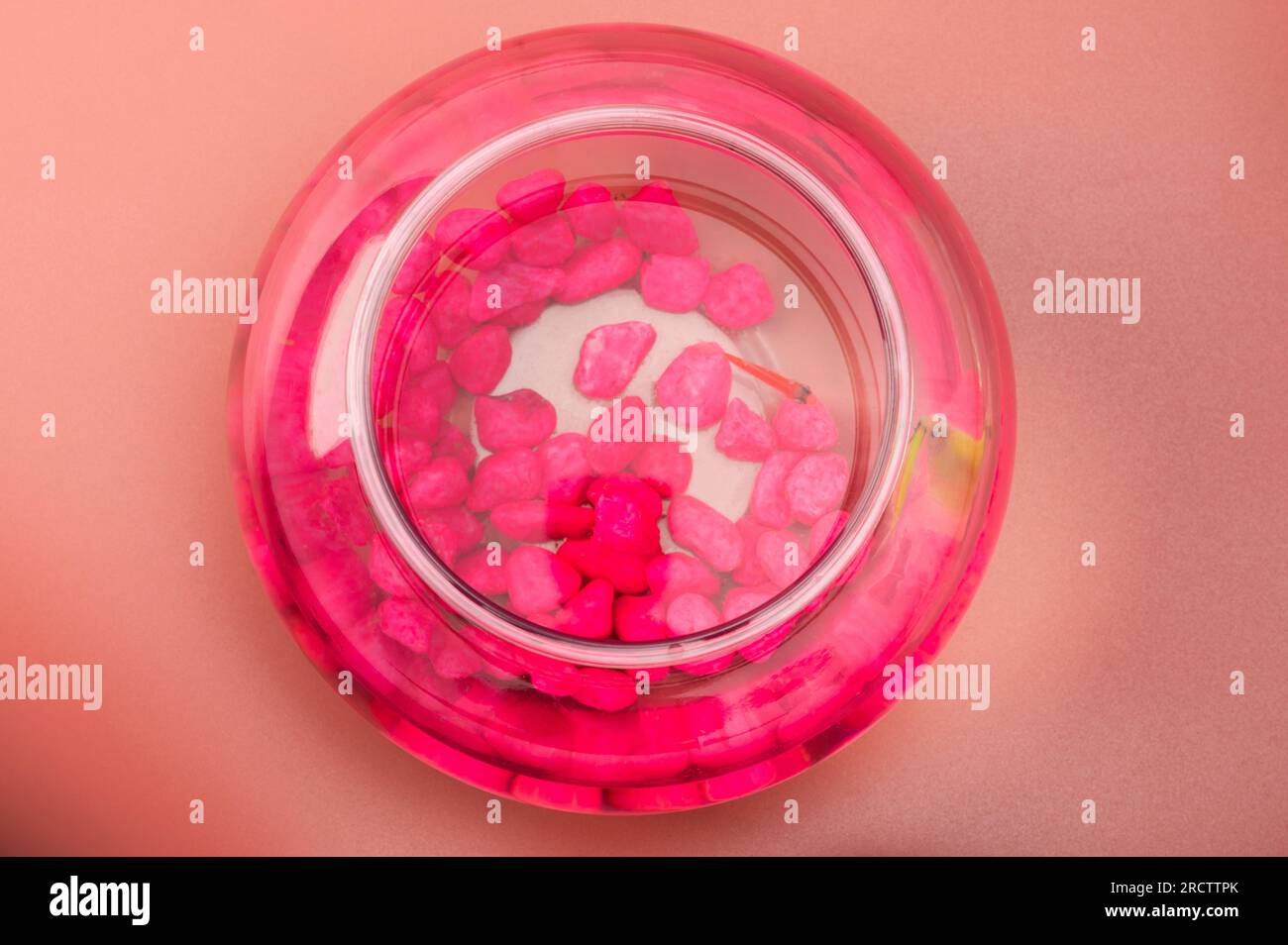 Bol d'aquarium coloré au-dessus de la vue de dessus avec de petits poissons et des pierres roses Banque D'Images