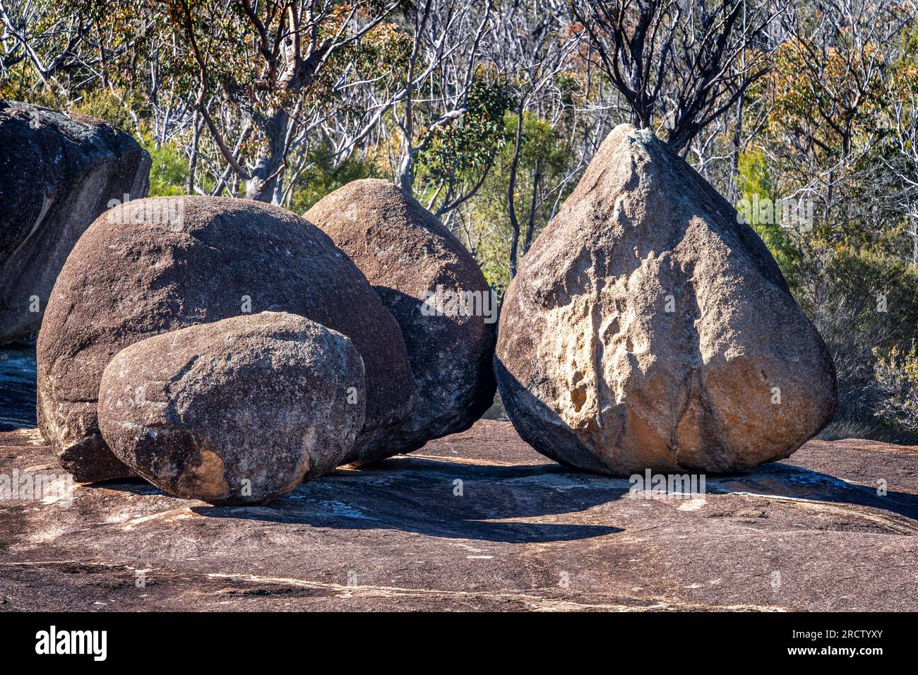 Rochers sur les pentes de granit au-dessus de Bald Rock Creek, The Junction, Girraween National Park, Queensland, Australie Banque D'Images