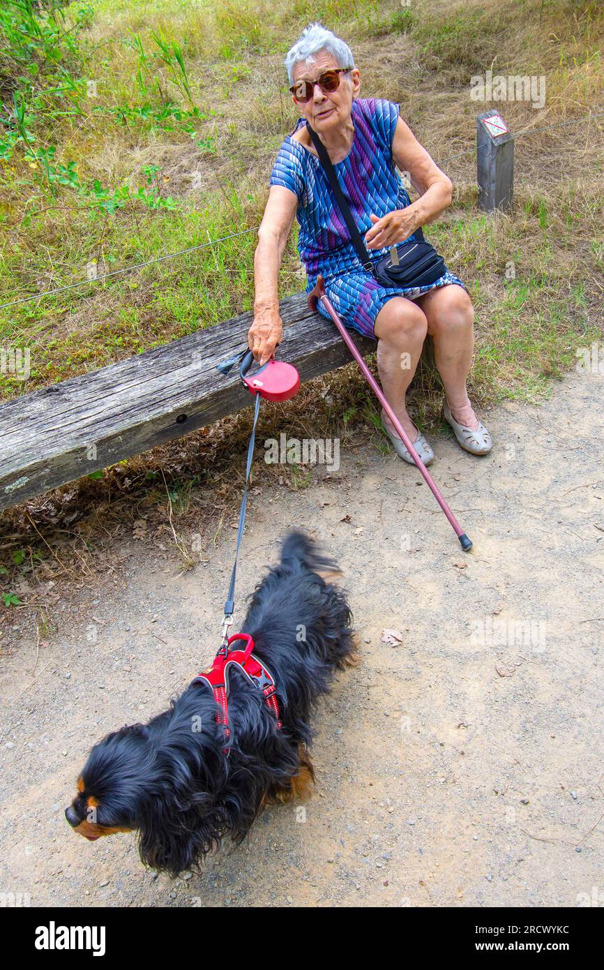 Dame âgée assise sur un banc avec le chien roi Charles Spaniel - Rosnay, Indre (36), France. Banque D'Images