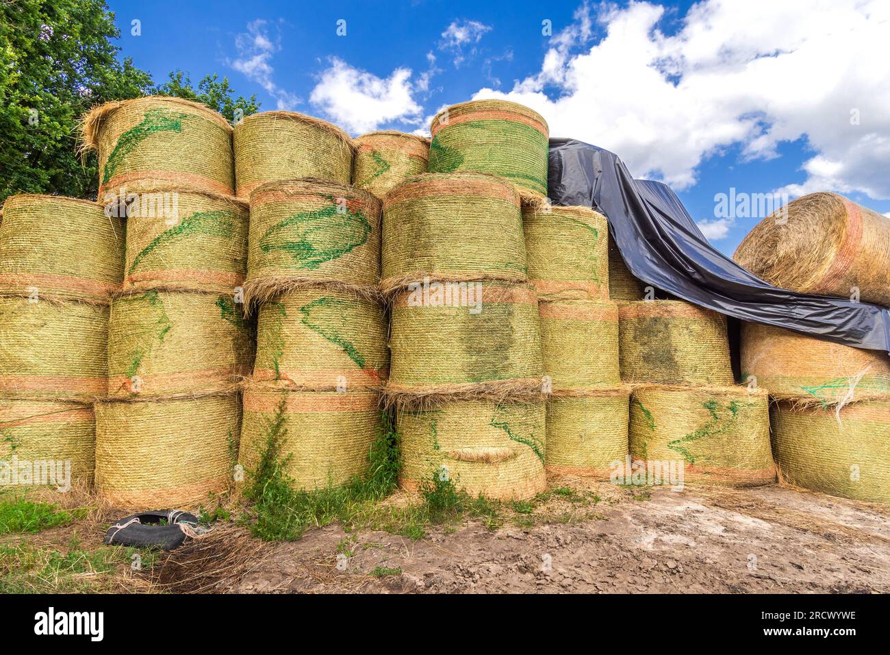 Pile de balles de paille après récolte de blé - Saint-Michel-en-Brenne, Indre (36), France. Banque D'Images