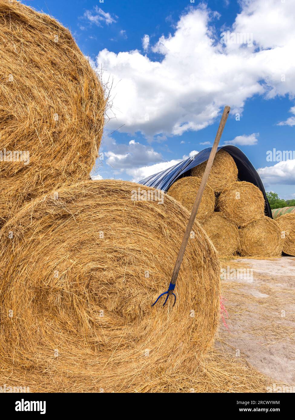 Pile de balles de paille après récolte de blé - Saint-Michel-en-Brenne, Indre (36), France. Banque D'Images