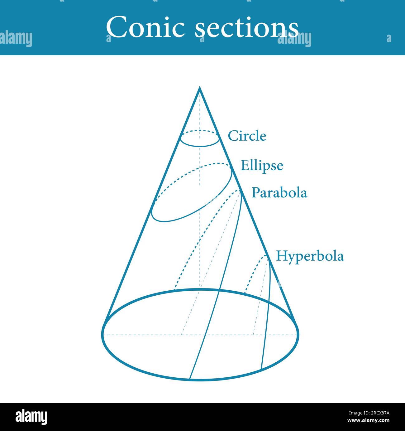 Types de sections coniques. Cercle, Ellipse, parabole et hyperbole. Illustration vectorielle isolée sur fond blanc. Illustration de Vecteur