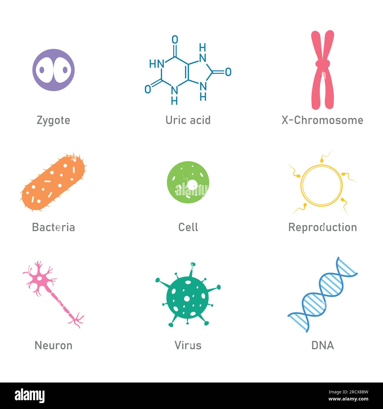 Icône des sciences biologiques. Acide urique, bactéries, cellule, neurone, virus, ADN, reproduction et symbole zygote. Ressources en biologie pour les enseignants et les étudiants. Illustration de Vecteur