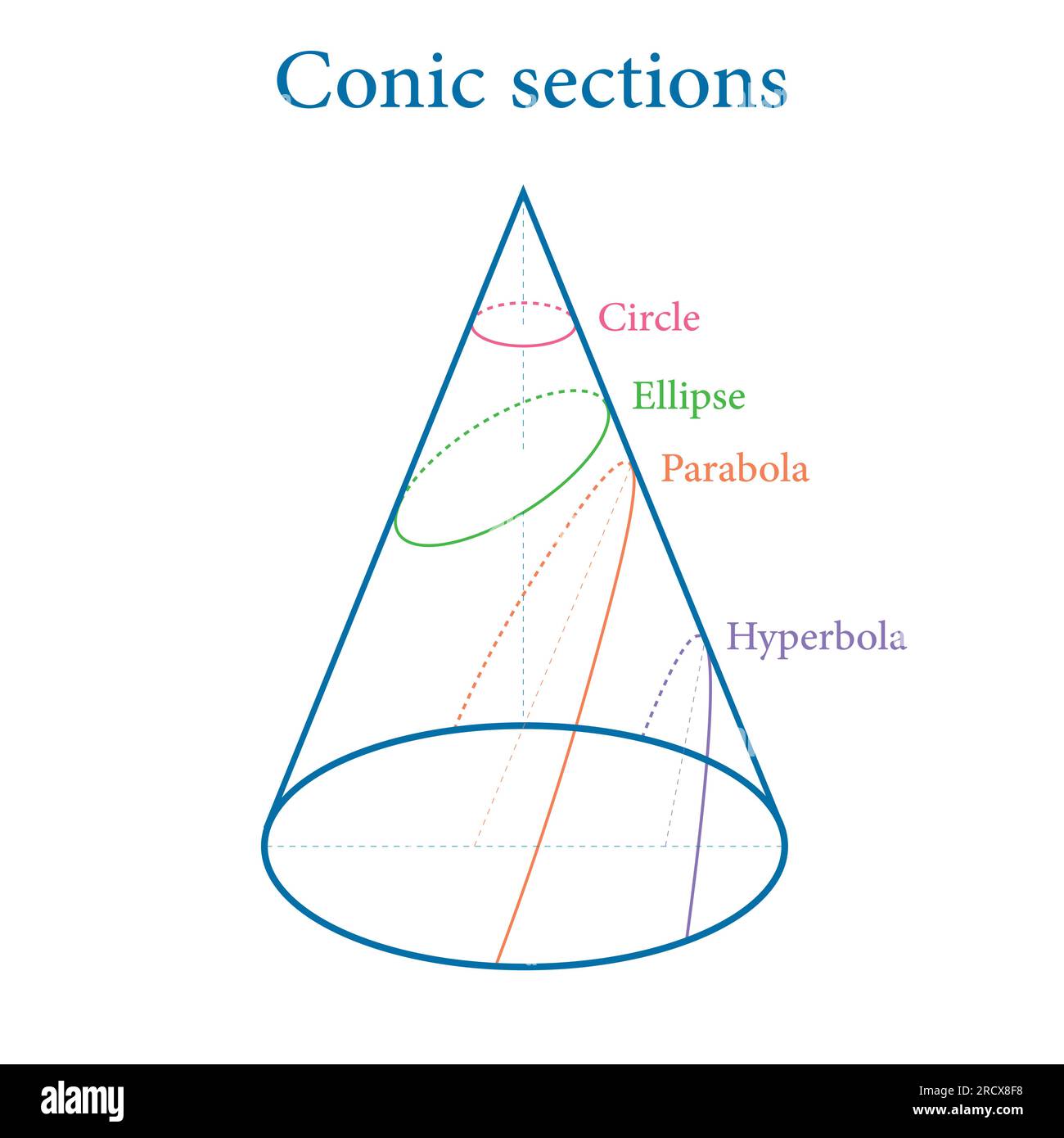 Types de sections coniques. Cercle, Ellipse, parabole et hyperbole. Illustration vectorielle isolée sur fond blanc. Illustration de Vecteur