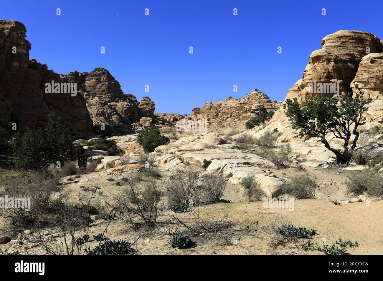 Vue sur le paysage autour de Wadi al-Aghlat avant Little Petra, région Al-Sharat de Jordanie, Moyen-Orient Banque D'Images