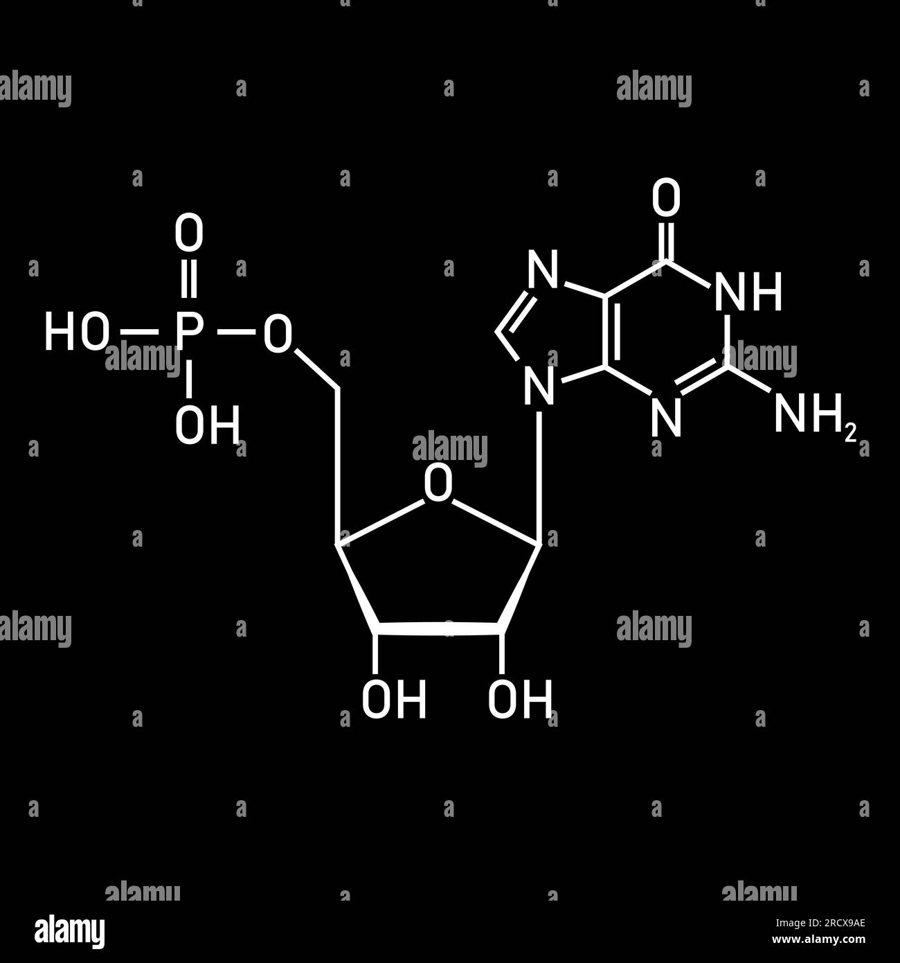 Structure chimique du nucléotide d'ADN. Trois parties d'un nucléotide. Groupe phosphate, sucre pentose et base azotée. Acides nucléiques. Illustration de Vecteur