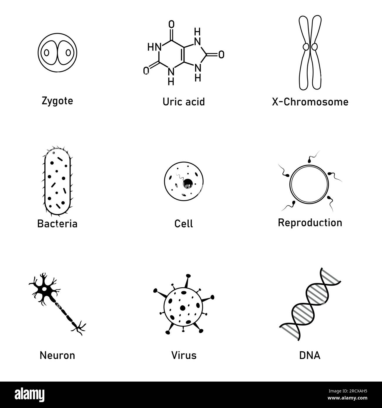Icône des sciences biologiques. Acide urique, bactéries, cellule, neurone, virus, ADN, reproduction et symbole zygote. Ressources en biologie pour les enseignants et les étudiants. Illustration de Vecteur