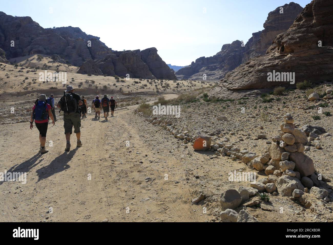 Vue sur la vallée de Masera Shrgyah lors de la randonnée arrière à Petra, Jordanie, Moyen-Orient Banque D'Images