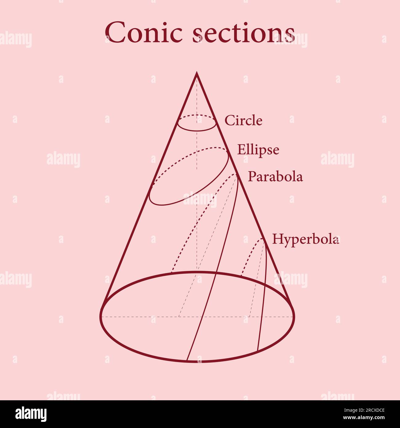 Types de sections coniques. Cercle, Ellipse, parabole et hyperbole. Illustration vectorielle isolée sur fond rouge. Illustration de Vecteur