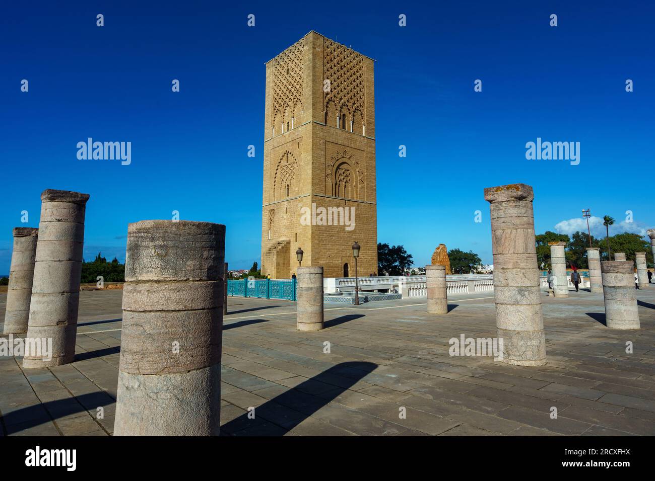 Maroc. Rabat. La magnifique Tour Hassan et ses colonnes de pierre sur l’esplanade Yacoub al-Mansour. La tour est le minaret de grès rouge incomplet o Banque D'Images