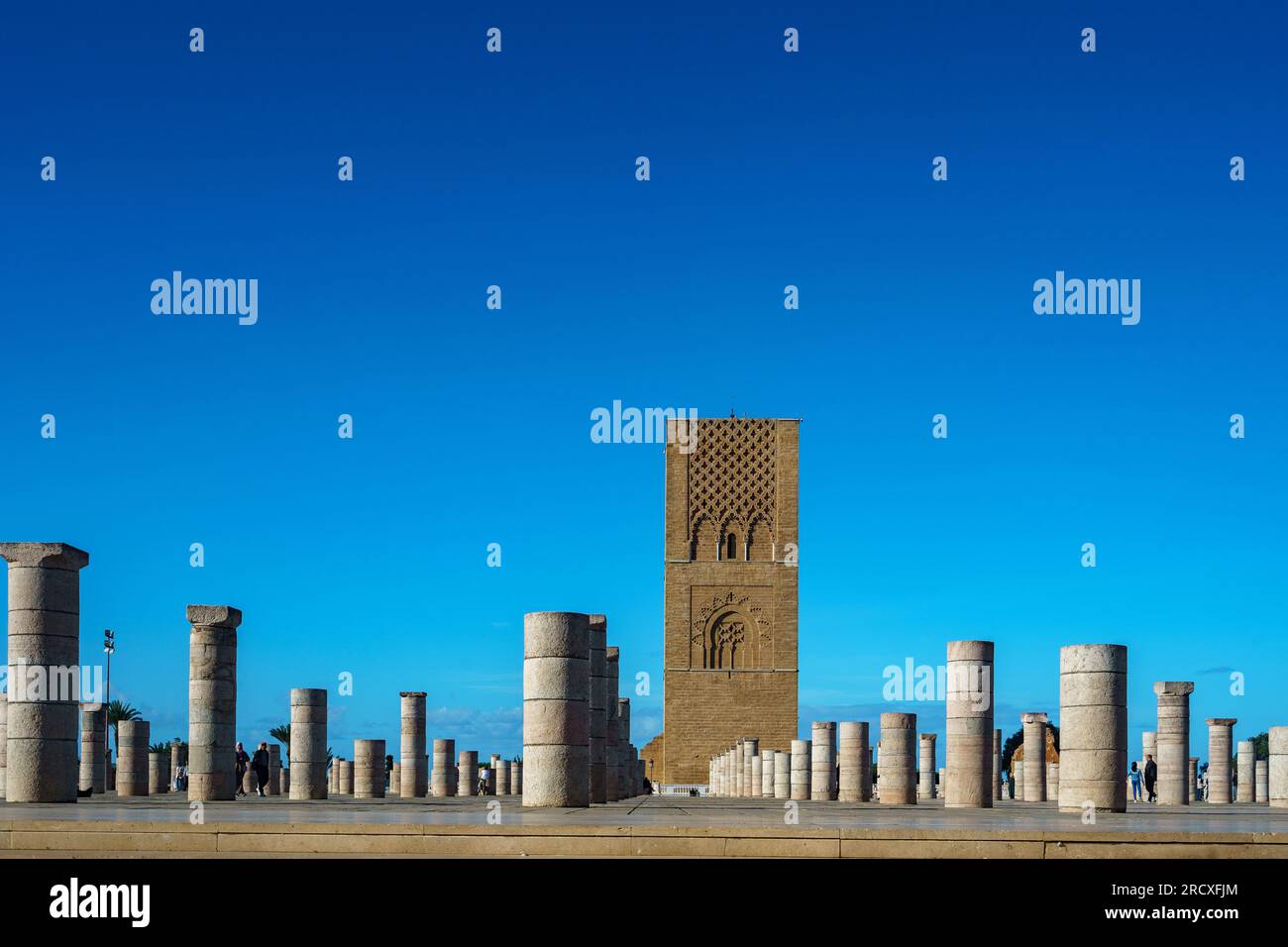 Maroc. Rabat. La magnifique Tour Hassan et ses colonnes de pierre sur l’esplanade Yacoub al-Mansour. Banque D'Images