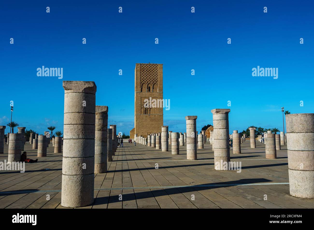 Maroc. Rabat. La magnifique Tour Hassan et ses colonnes de pierre sur l’esplanade Yacoub al-Mansour. Banque D'Images