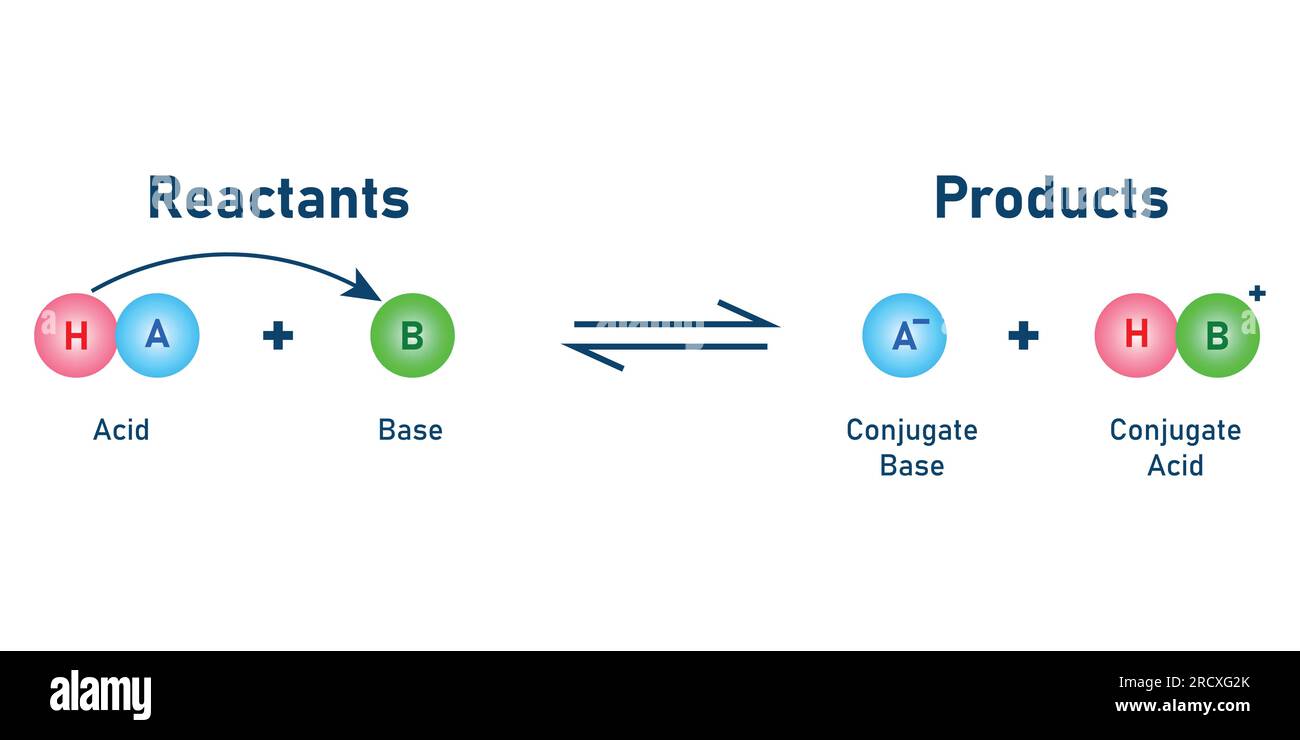 Théorie de Bronsted Lowry acide base. Illustration vectorielle scientifique isolée sur fond blanc. Illustration de Vecteur