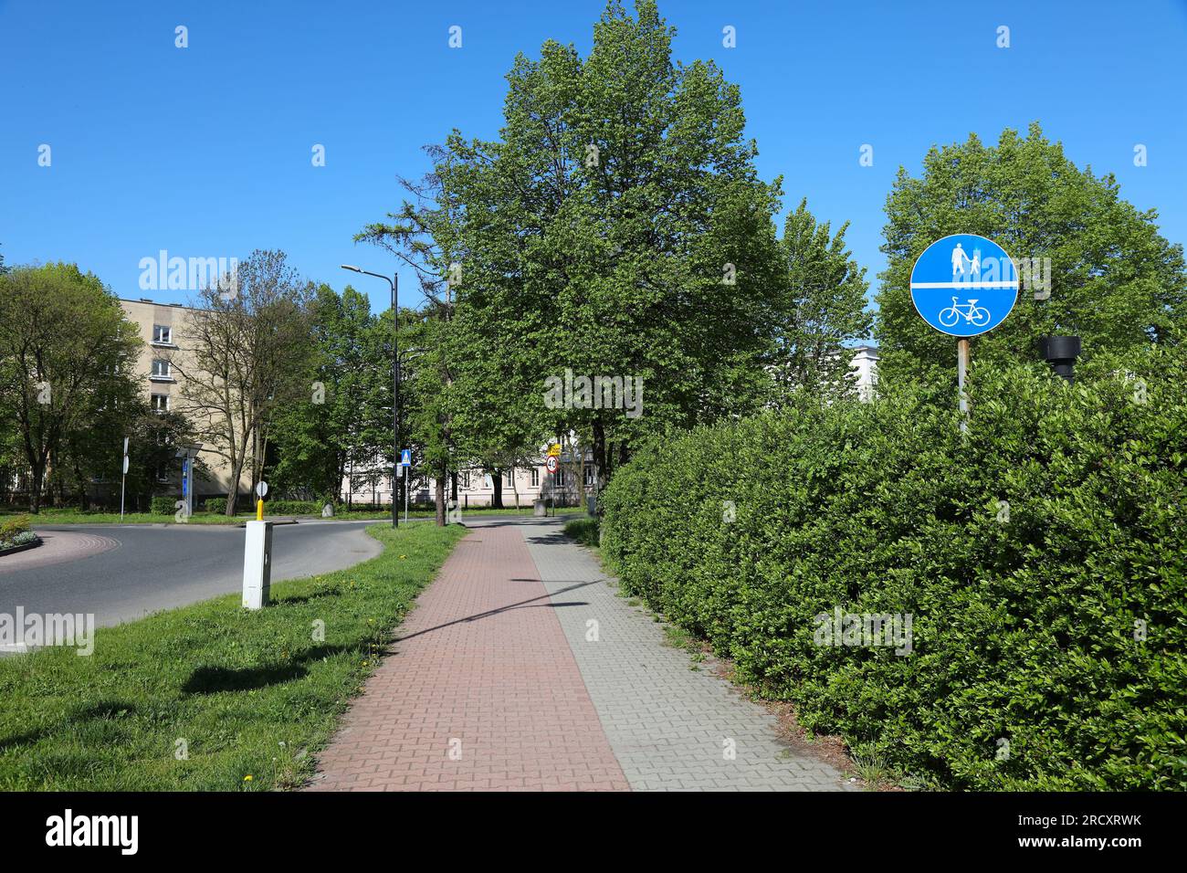 Piste piétonne et cyclable partagée dans la ville de Gliwice, Pologne. Panneau d'infrastructure de transport. Banque D'Images
