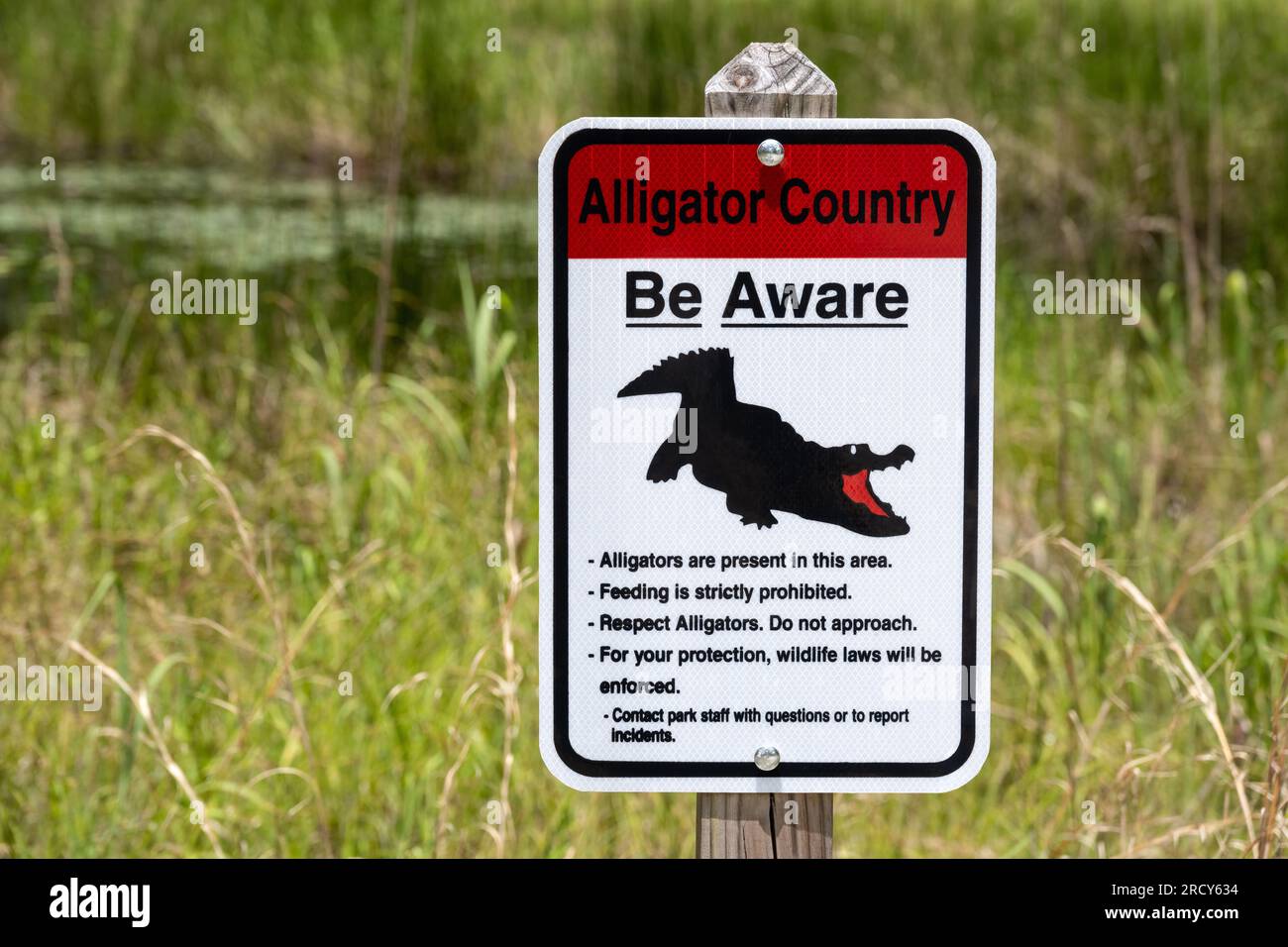 Panneau de sensibilisation au pays des alligators au parc d'État George L. Smith à Twin City, Géorgie. (ÉTATS-UNIS) Banque D'Images