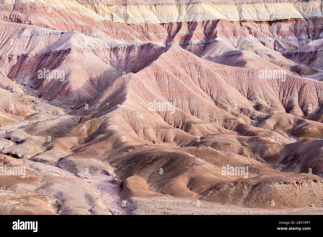 Caractéristiques érosionnelles, mesas, collines et paysage désertique, le désert peint, près de tuba City, AZ, USA, par Dominique Braud/Dembinsky photo Assoc Banque D'Images