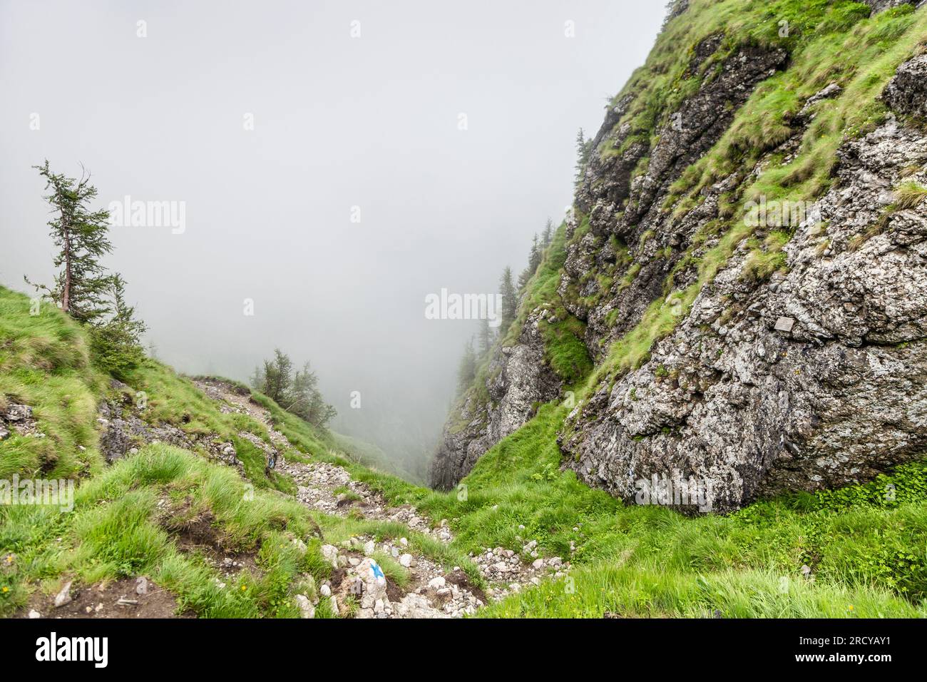 Montagnes enveloppées de nuages le long du chemin de randonnée de Busteni à Caraiman Peak dans les montagnes des Carpates, Roumanie. Banque D'Images