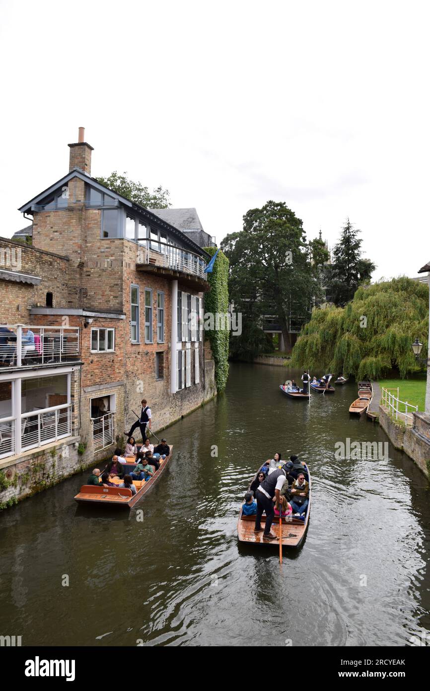 Punting, River Cam, Cambridge Royaume-Uni juillet 2023 Banque D'Images