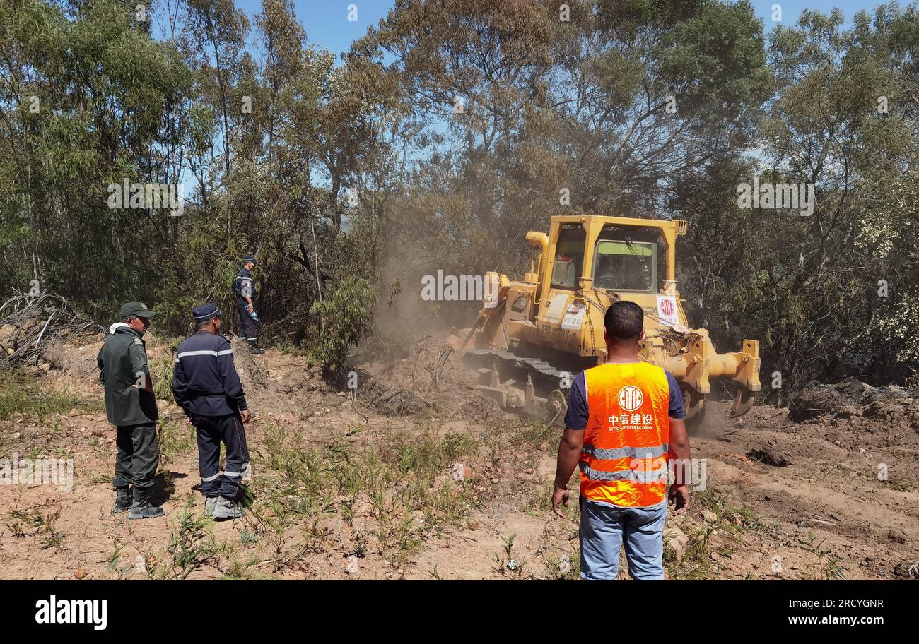 (230717) -- El TARF(ALGÉRIE), 17 juillet 2023 (Xinhua) -- cette photo prise le 18 août 2022 montre le personnel de projet de CITIC Construction utilisant des machines de construction pour mettre en place une ceinture de prévention des incendies dans les forêts de la province d'El Tarf, en Algérie. POUR ALLER AVEC « Feature : un entrepreneur chinois brave la chaleur pour terminer le tronçon final du projet d'autoroute algérien » (photo fournie par CITIC Construction/document via Xinhua) Banque D'Images