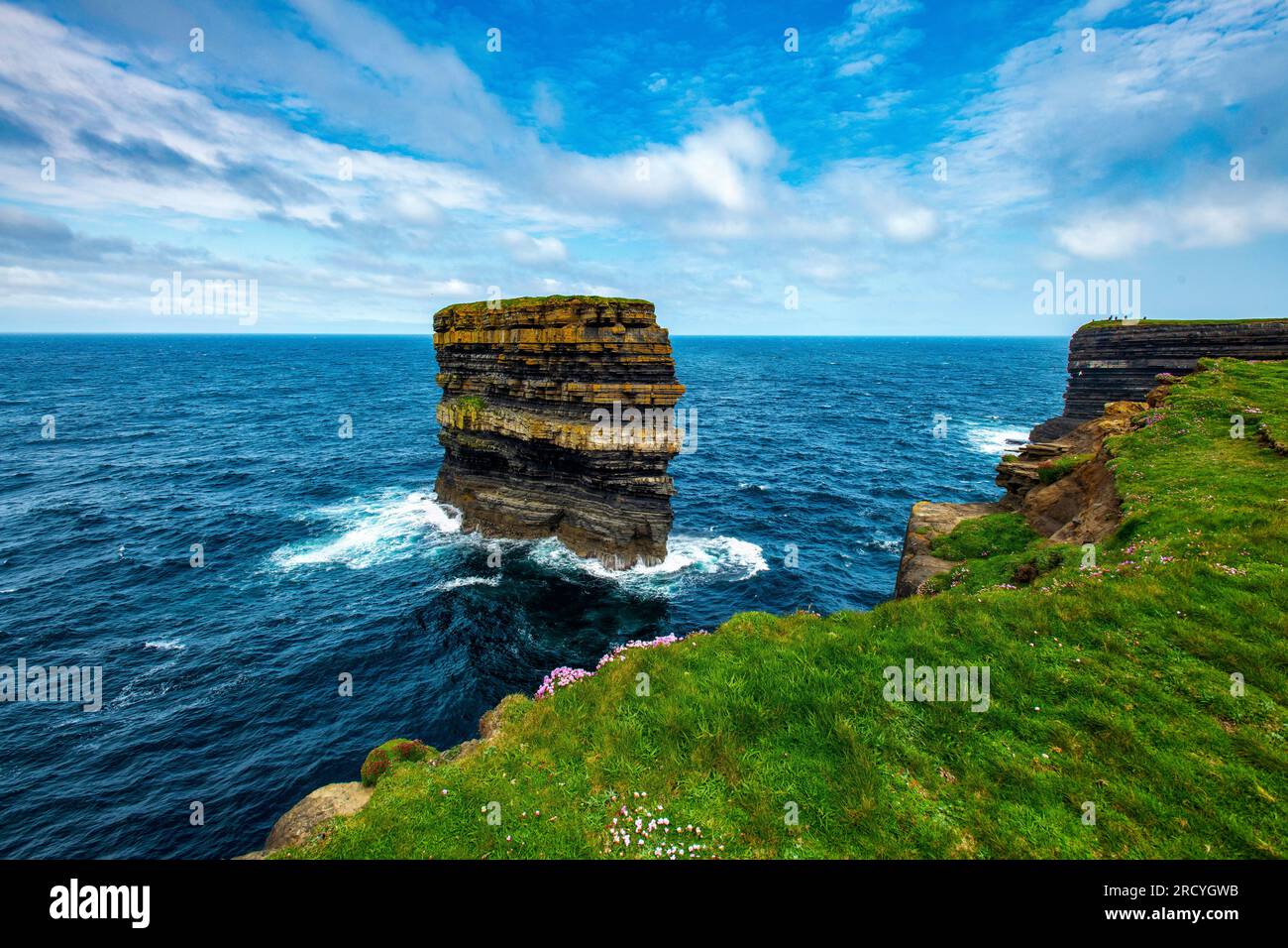 Sea Stack et Sea Pinks à Downpatrick Head, comté de Mayo, Irlande Banque D'Images