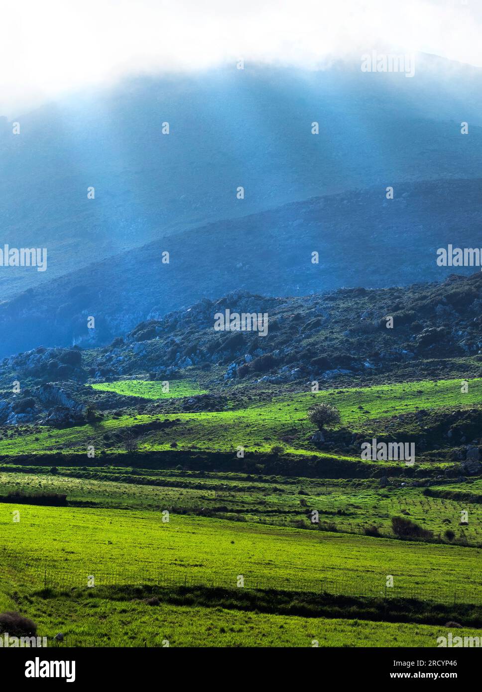 Lumière du soir sur le paysage, autour de Gious Kambos au-dessus de Spili, Crète occidentale Banque D'Images