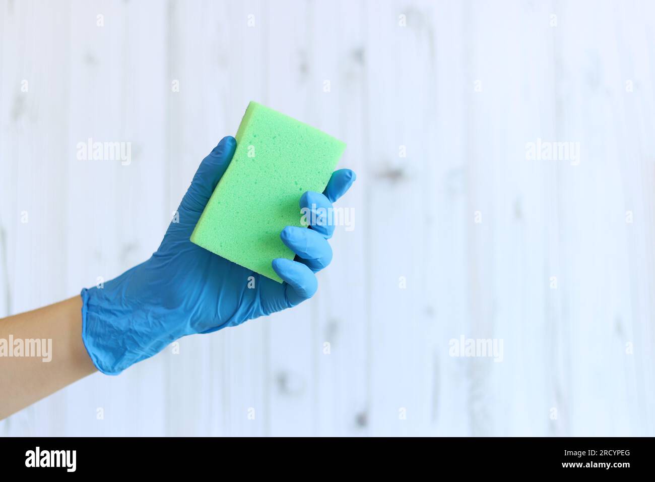 Éponge pour laver la vaisselle dans une main féminine sur un fond de bois clair. Une main dans un gant en latex tient une éponge verte pour le nettoyage humide. Cercle professionnel Banque D'Images