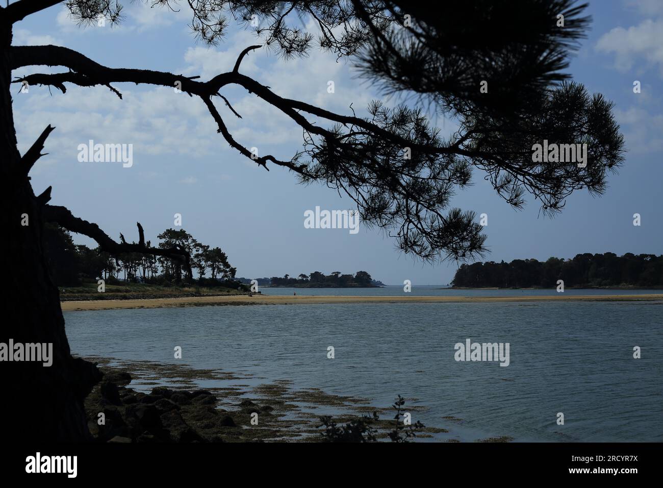 Vue à travers les arbres et marée basse et vue à travers la broche de terre  qui s'étend à les sept Iles de point Locmiquel, Larmor Baden, vannes,  Bretagne, Fran Photo Stock -