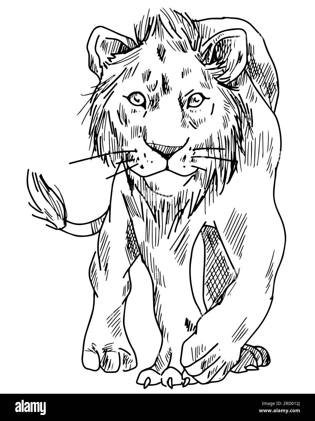 Libérez la créativité chez les enfants avec cette image captivante de lion incolore! Parfait pour le plaisir de colorier, laissez leurs imaginations rugir avec des couleurs vives. Banque D'Images