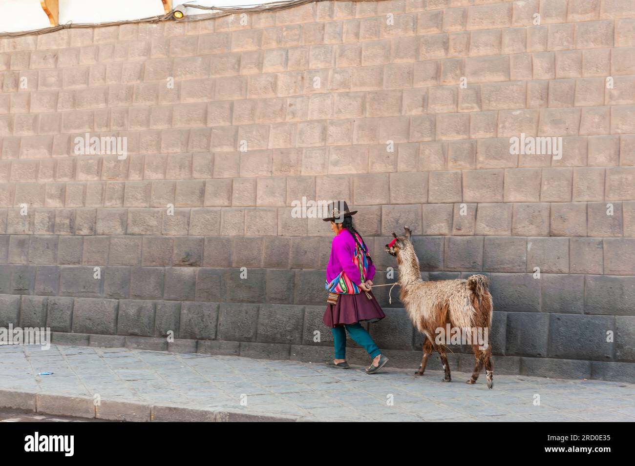 Femme indigène avec lama à Cusco Pérou. Banque D'Images