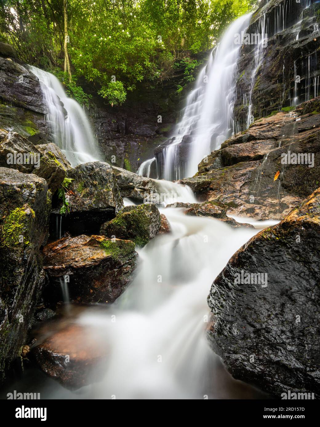 SOCO tombe près de Maggie Valley, Caroline du Nord Banque D'Images
