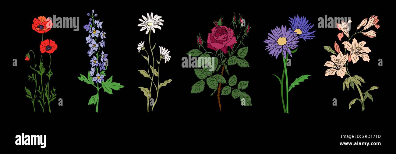 Collection de diverses fleurs à floraison du mois de naissance Illustration de Vecteur