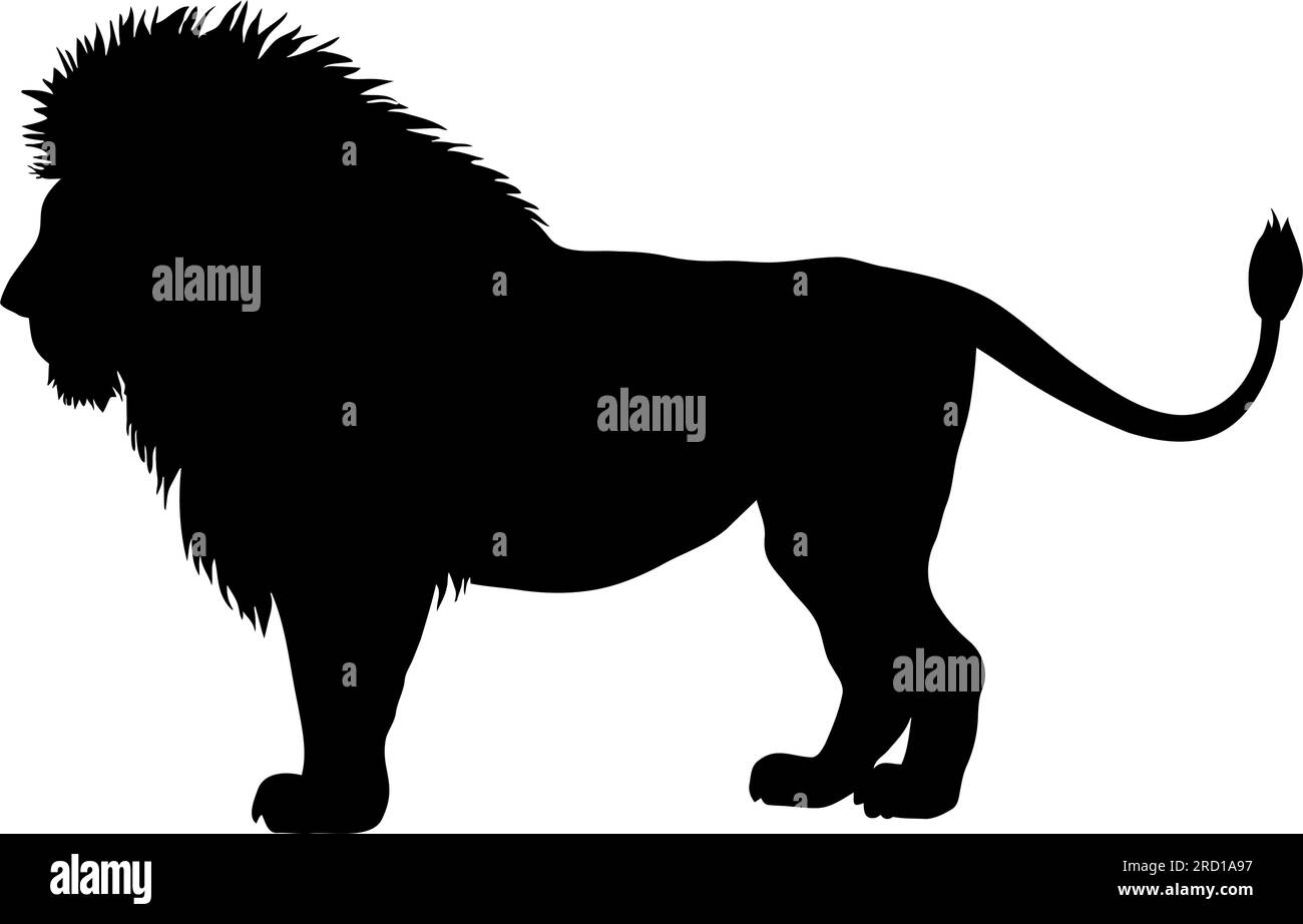 Silhouette de lion isolé sur fond blanc. Illustration vectorielle Illustration de Vecteur