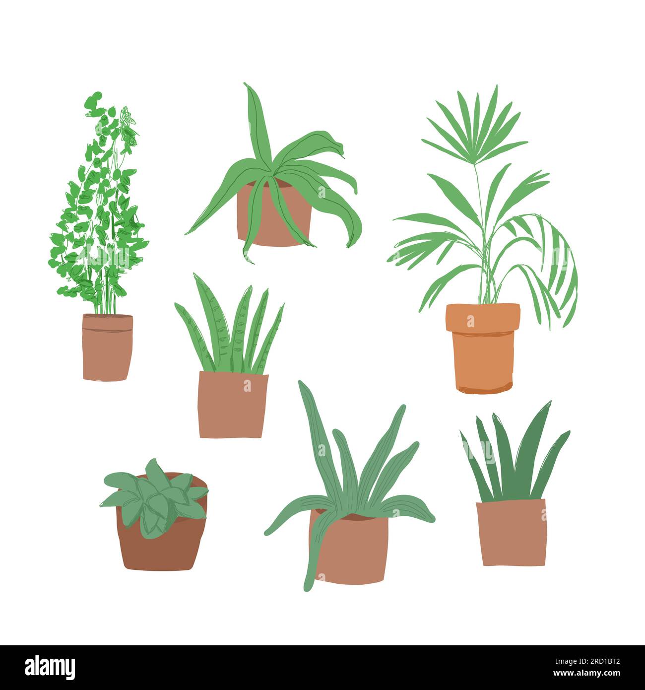 Plante dans le jeu d'illustrations vectorielles de pot. Dessins animés plats différentes plantes d'intérieur décoratives en pot pour la décoration intérieure de la maison ou du bureau, icônes de collection florale de jardin vert isolées sur blanc. Illustration vectorielle Illustration de Vecteur