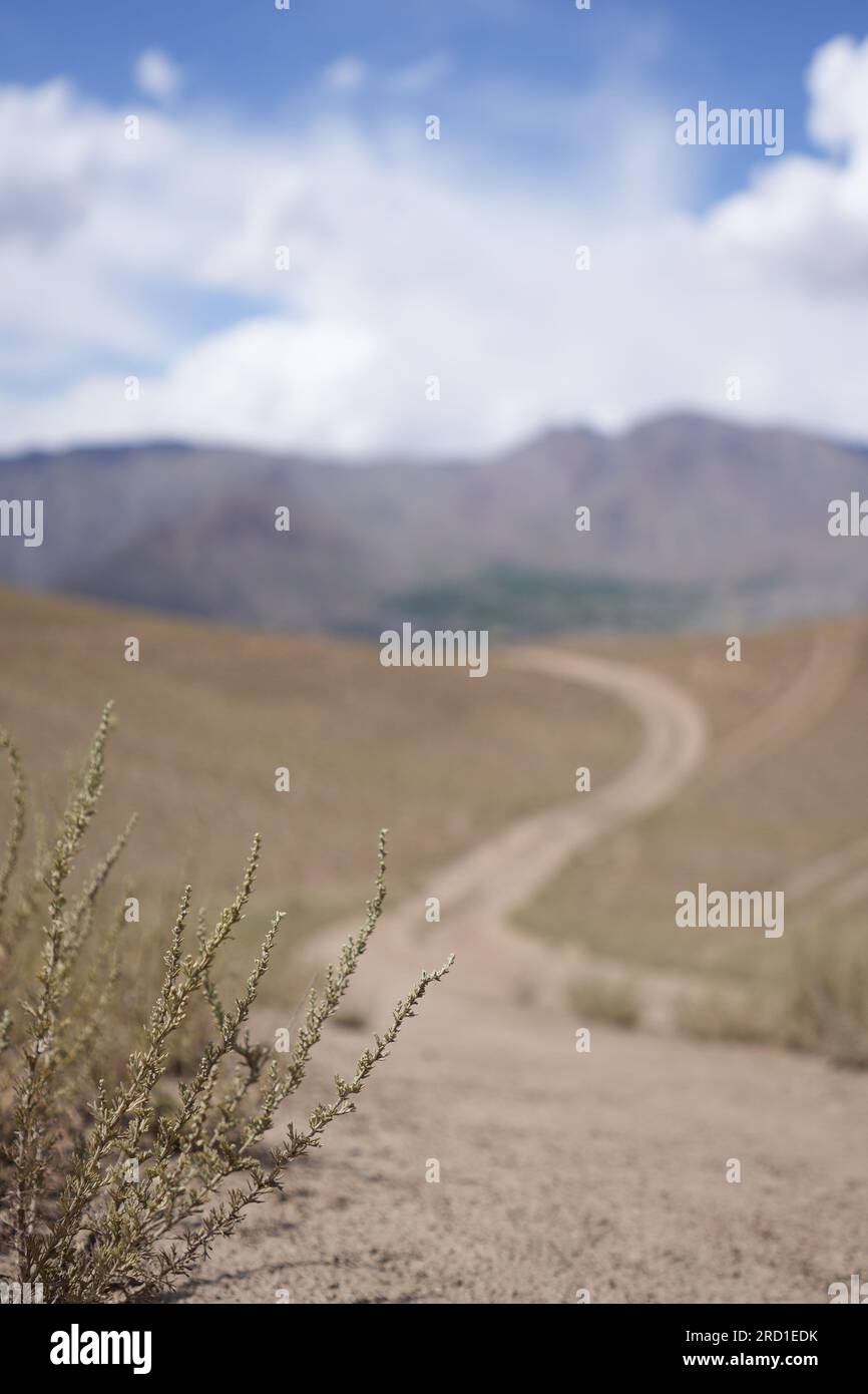 Le ciel bleu nuageux surplombant le chemin poussiéreux vers les montagnes Banque D'Images