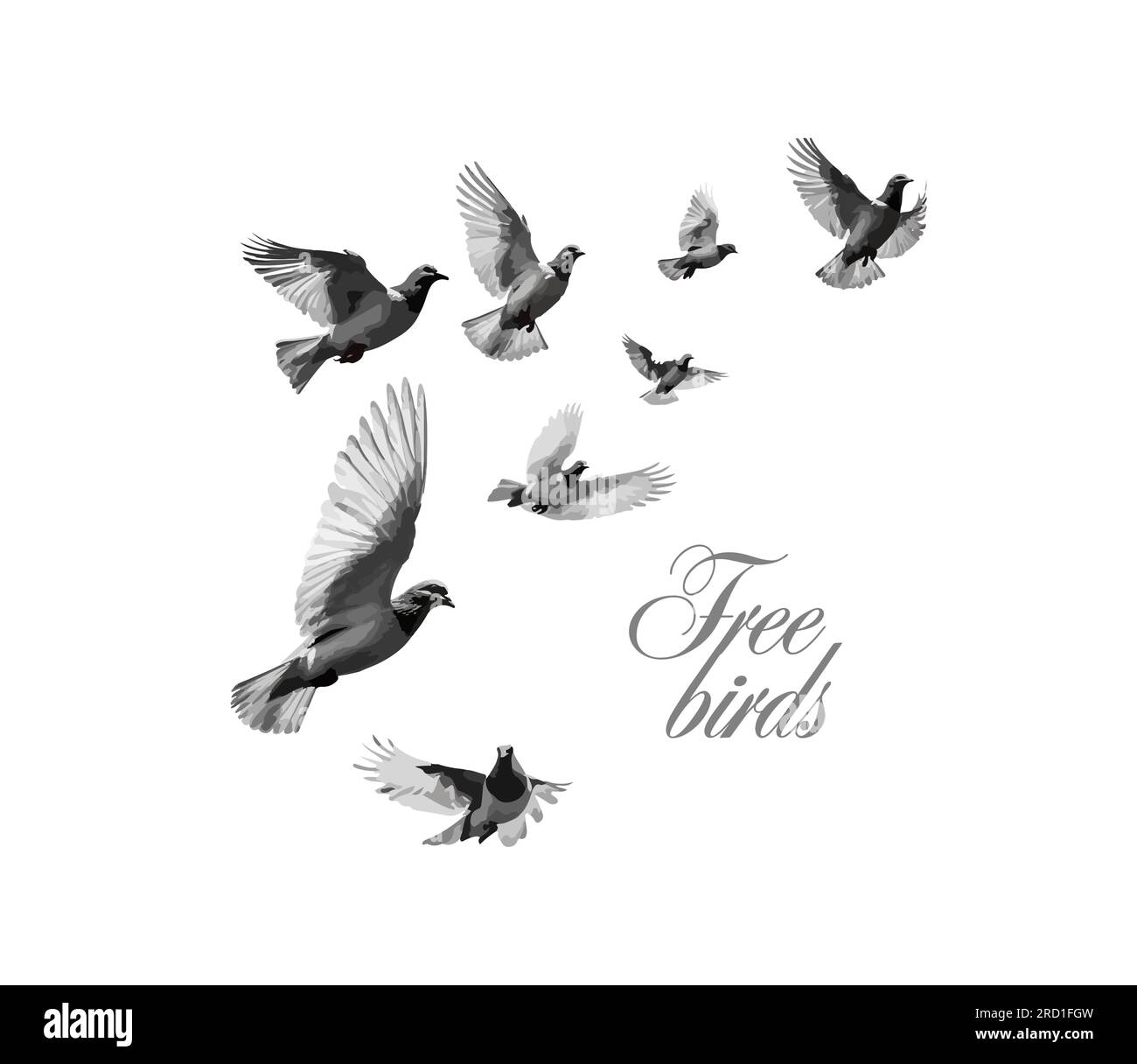 Des colombes grises volent. Logo Free Birds. Illustration vectorielle Illustration de Vecteur