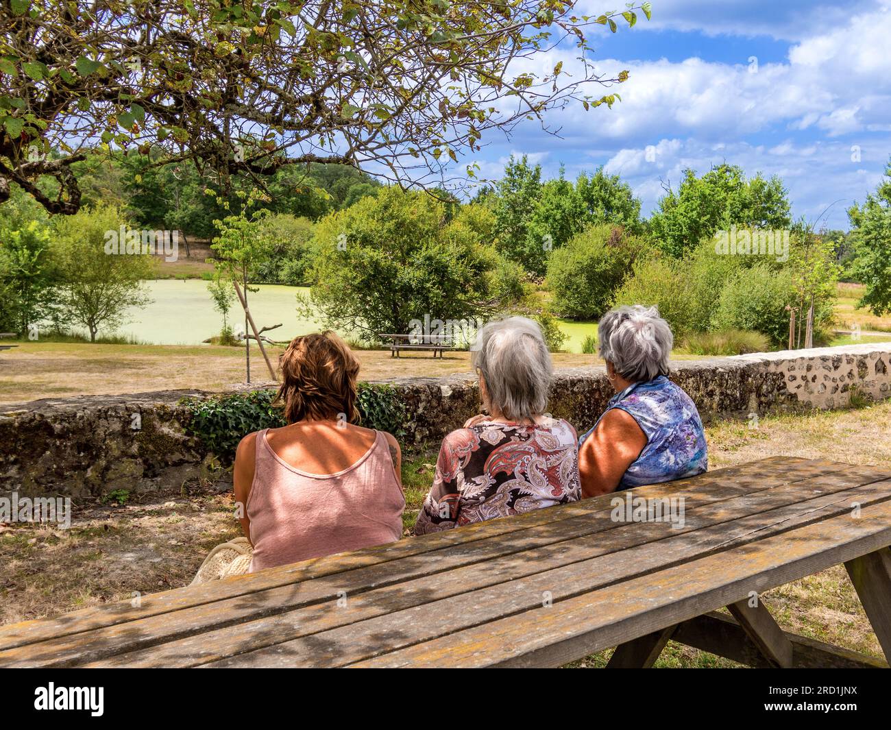 Vue arrière de trois femmes assises à la table de pique-nique regardant le paysage - Rosnay, Brenne, Indre (36), France. Banque D'Images