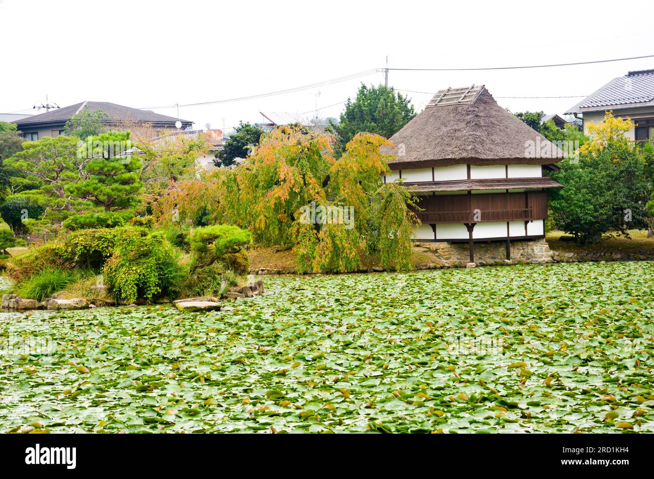 Jardin de Shurakuen dans la ville de Tsuyama, préfecture d'Okayama, Chugoku, Japon. Banque D'Images