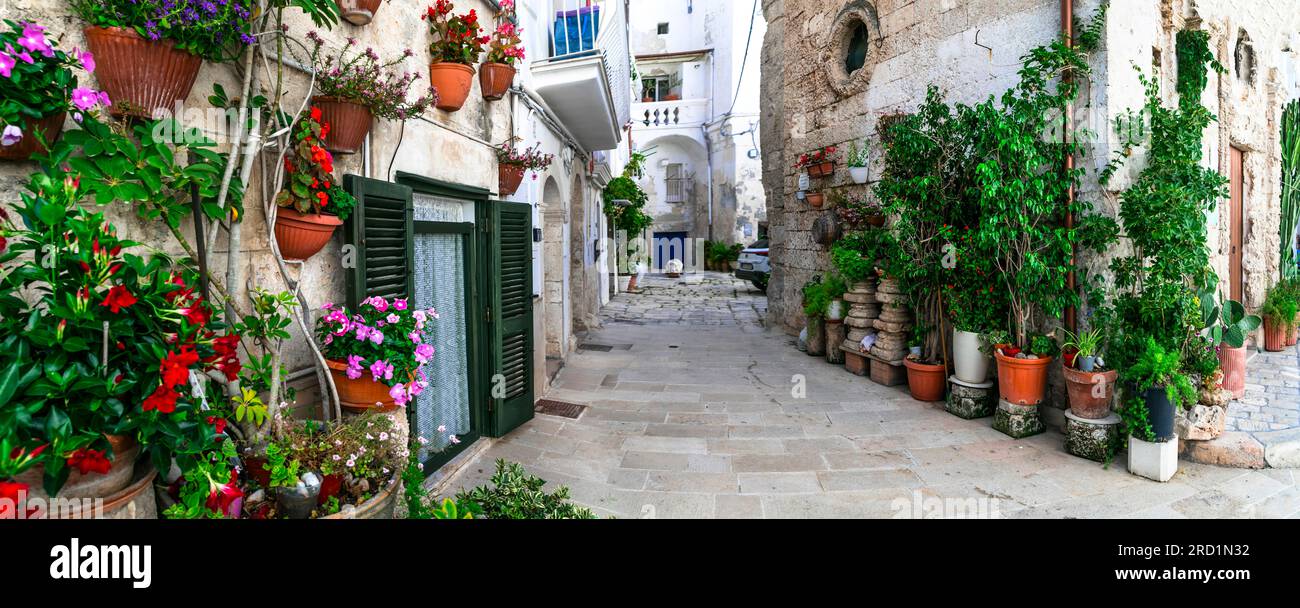 Villes charmantes traditionnelles du sud de l'Italie dans la région des Pouilles - Monopoli vieille ville avec des rues étroites florales. Banque D'Images