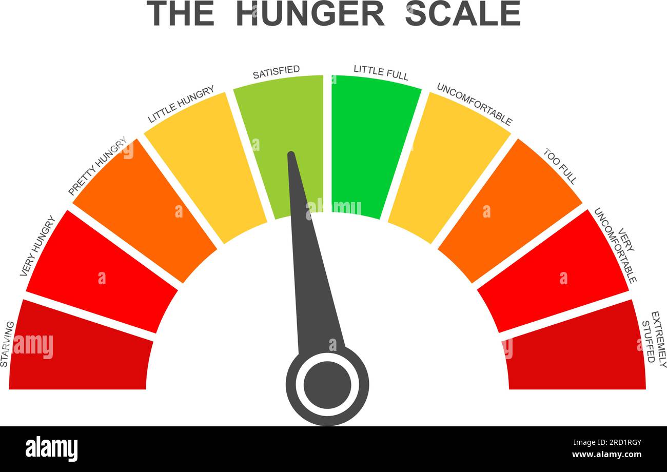Échelle de faim comme tableau de bord de cadran avec flèche. Niveau de remplissage des aliments. Balance de ghréline et de leptine. Infographie sur la régulation de l'appétit pour la perte de poids. Illustration vectorielle à plat Illustration de Vecteur