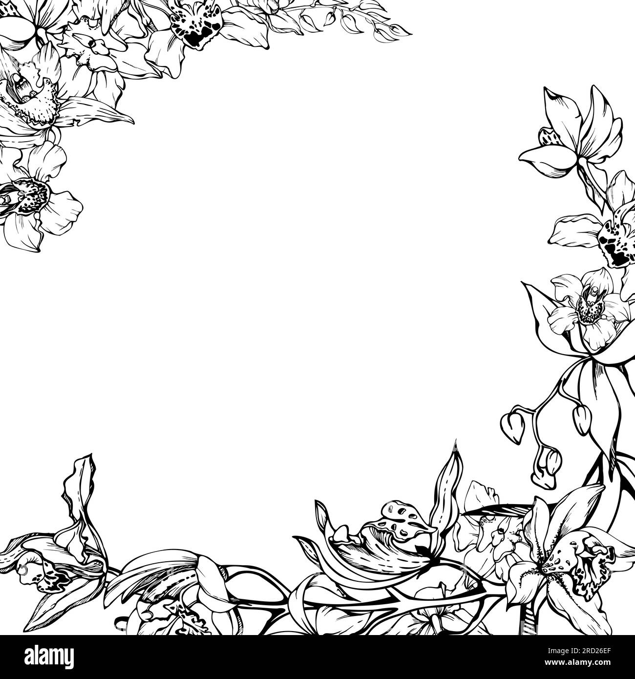 Fleurs et branches d'orchidées à encre vectorielle dessinées à la main, monochrome, contour détaillé. Composition de cadre carré. Isolé sur fond blanc. Conception pour Illustration de Vecteur