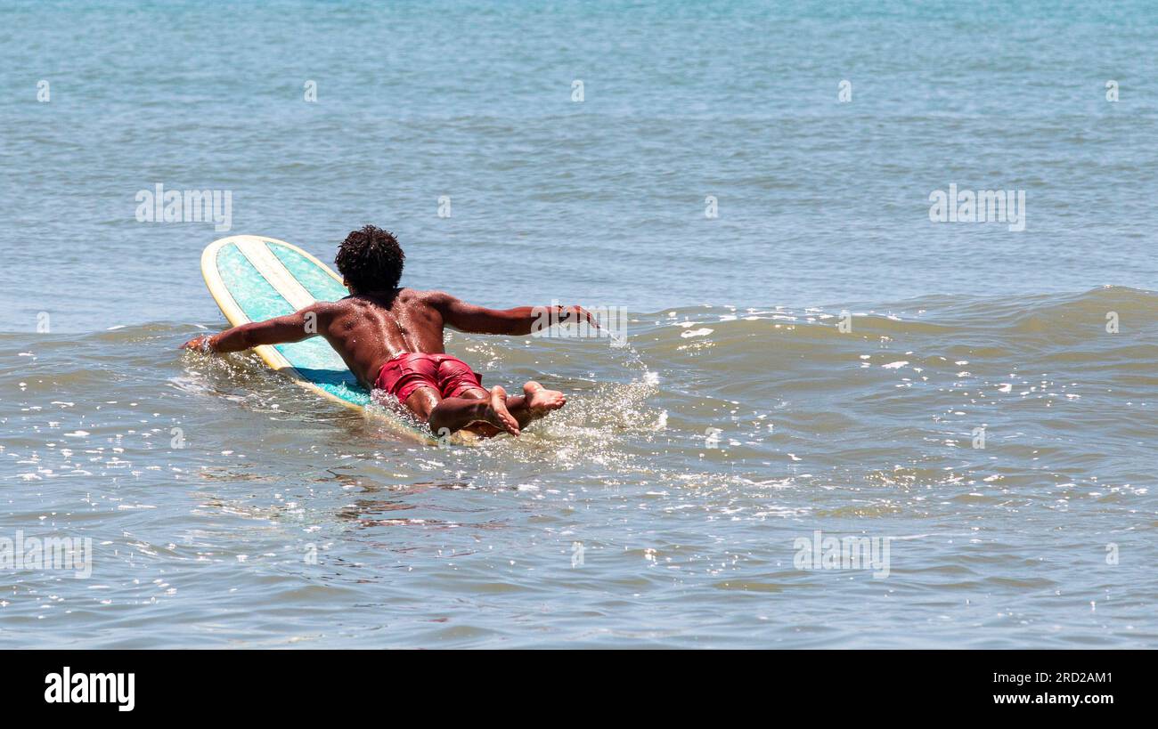 Vue arrière d'un surfeur masculin pagayant dans l'océan à la recherche de vagues en Floride. Banque D'Images