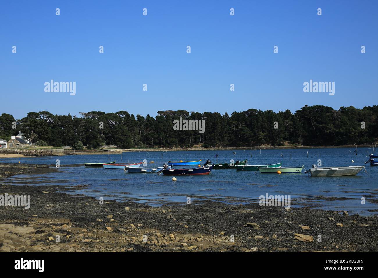 Marée basse et vue depuis Port Lagaden, Larmor Baden, vannes, Morbihan,  Brittany, France Photo Stock - Alamy