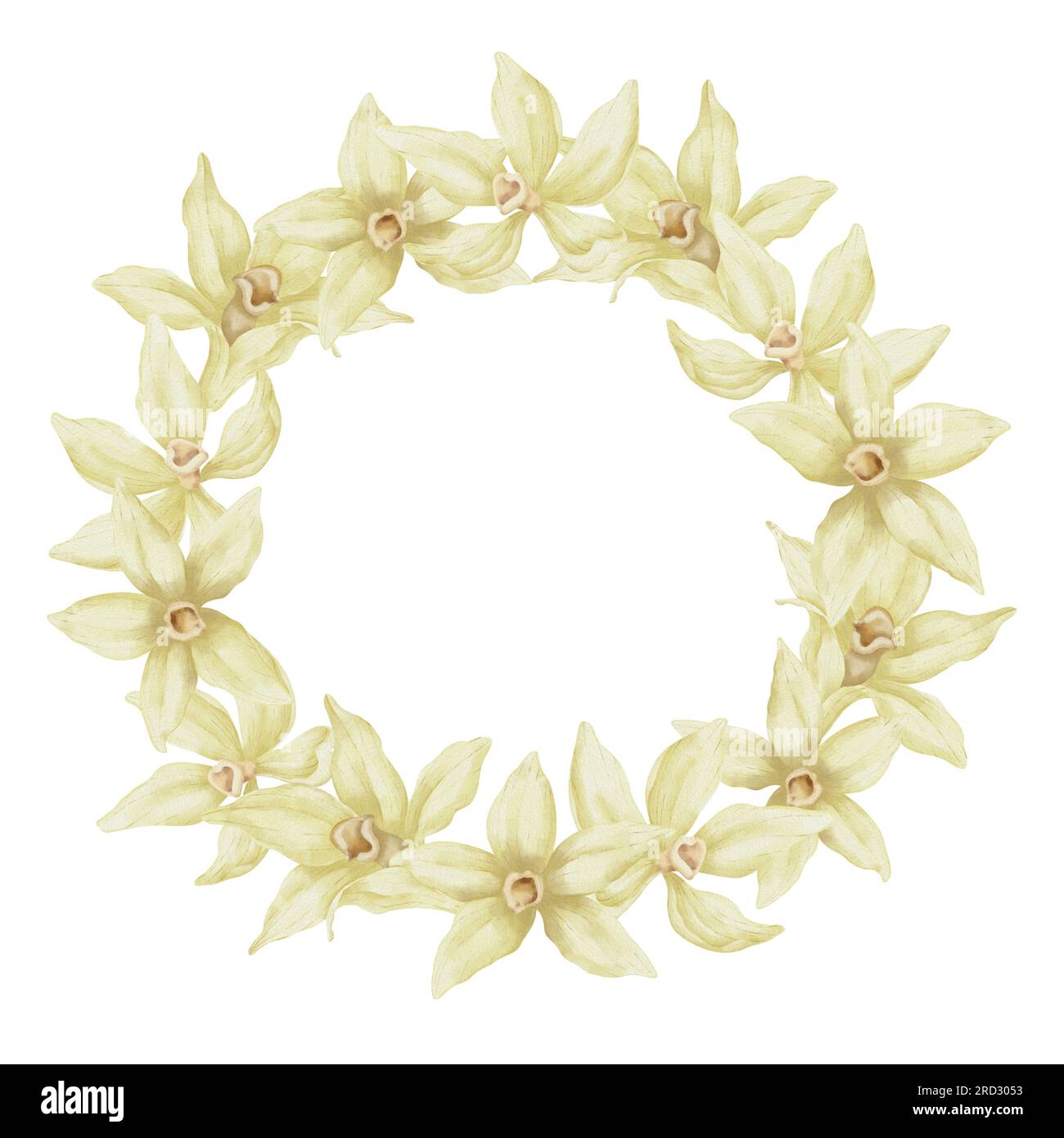Couronne de fleurs de vanille. Illustration à l'aquarelle dessinée à la main d'épices florales sur fond blanc isolé cadre rond avec des orchidées jaunes. Bordure florale pour icône ou logo. Croquis à base de plantes pour étiquette alimentaire. Banque D'Images