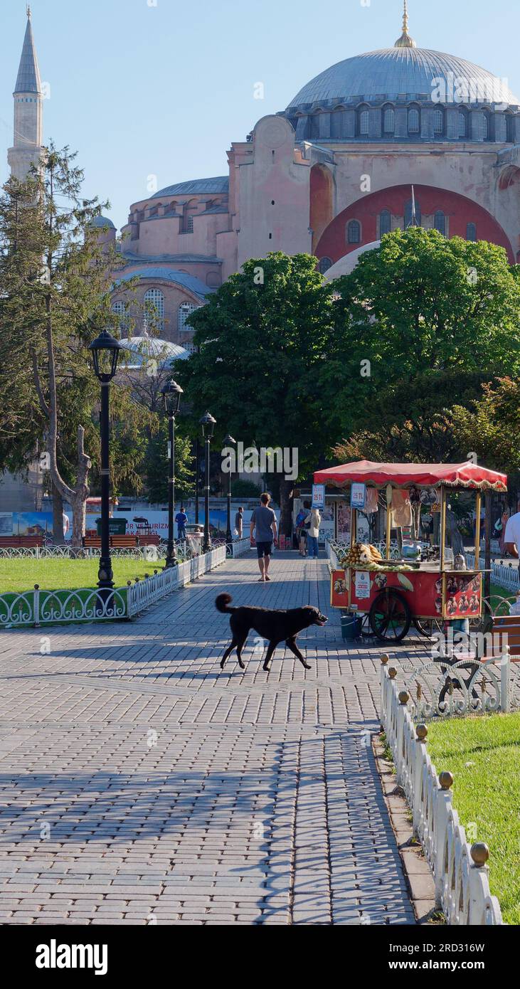 Jardins du parc Sultanahmet avec la mosquée Sainte-Sophie. Le chien passe devant un chariot distributeur rouge vend du maïs rôti. Istanbul, Turquie Banque D'Images